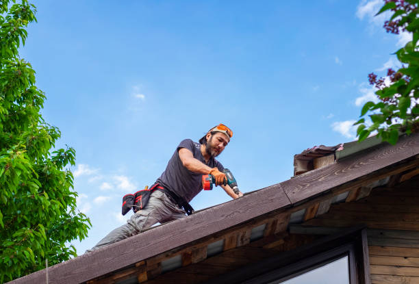 Belvidere, IL Roofing services Company