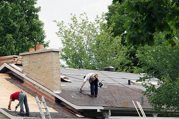 Best Chimney Flashing Repair  in Belvidere, IL